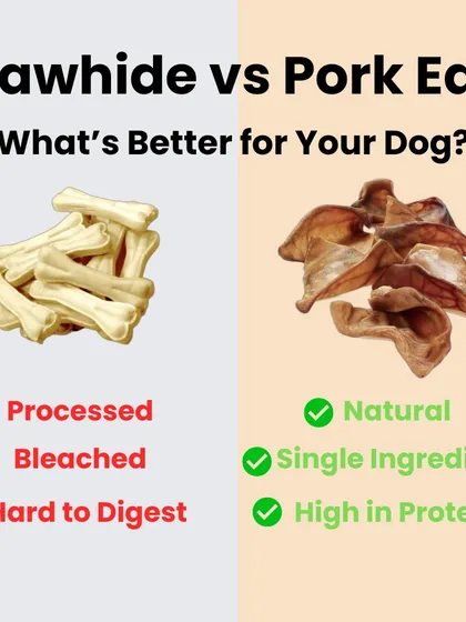 As a pet parent, it's important to know the difference between treats. I made this to show why I'll never use processed rawhide, which is hard to digest. My air-dried Pork Ears are a natural, single-ingredient, and high-protein alternative that's much safer and healthier for your dog.