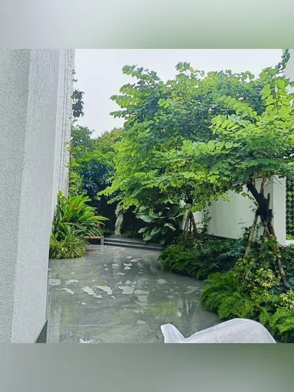 A wet-weather view of a garden path leading past a vertical green wall. The combination of different textures, from the smooth, wet stone to the varied foliage, creates a rich sensory experience.