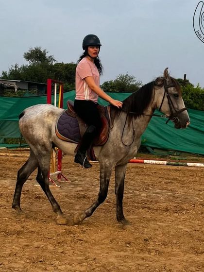 A rider on a beautiful grey horse during a lesson. We have a variety of horses to suit different rider skill levels and personalities.