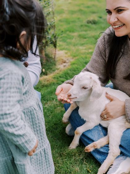 A little girl feeding a baby goat. Farm sessions provide so many opportunities for adorable and unique photos.