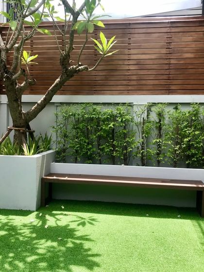 Wall Mind - Artificial Green Grass Lush Garden & Patio Lawns photo 4