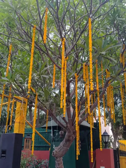 Simple yet effective. Hanging marigold strings from a tree can transform any outdoor space into a festive area for a Haldi or Mehndi event.