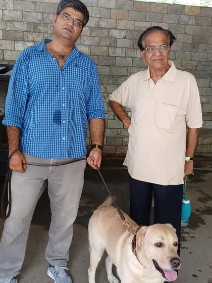 A family getting their Labrador's final travel documents cleared. It's a crucial step, and I'm there to oversee it.