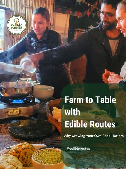 A group of participants in a farm-to-table workshop, learning why growing your own food matters for your health and the planet.