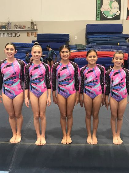 Fun & Fitness - Gymnastics & Tumbling Programs Our Champion Girls Teams photo 146