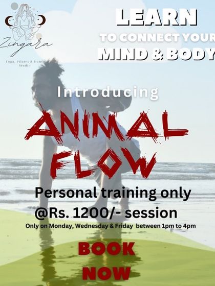 We offer personal training for Animal Flow both online and offline. These one-on-one sessions provide personalized guidance to help you master the practice.