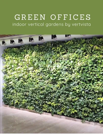 As offices reopen, we help companies create healthier and more inviting workspaces. This lush indoor vertical garden is a perfect example of how we make offices greener to boost employee wellbeing and productivity.
