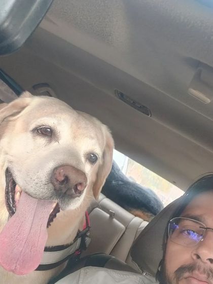 An early morning drop to the railway station for these happy travelers. My pet cab service covers all major transit points including airports and railway stations in Delhi.