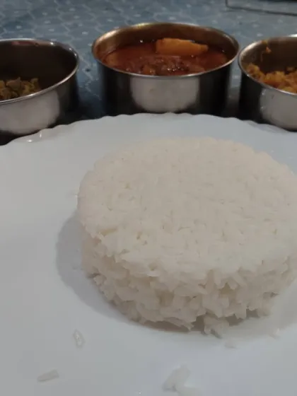 A closer look at the components of my non-veg meal. You can see the perfectly cooked mound of rice ready to be served with the accompanying curries, all made fresh to order.