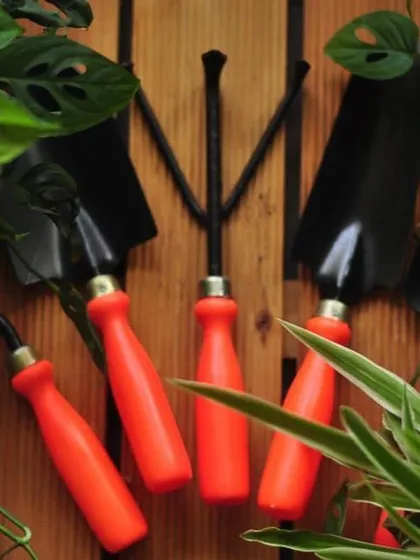 Here is our complete five-piece gardening toolkit, crafted from durable iron with comfortable handles. The set includes a trowel, transplanter, weeder, hand cultivator, and fork, all neatly packed in a sustainable jute bag to get you started on your home gardening journey.
