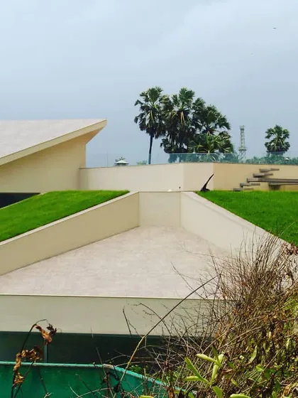 This image showcases an extensive green roof system we installed. The greenery is integrated directly onto the sloped roof surfaces of the building, providing insulation and aesthetic benefits with minimal maintenance requirements.