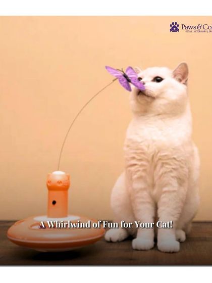 PawsnCollars - Pet Supplies For Our Feline Friends photo 4