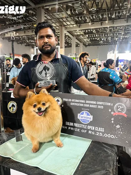 Here is one of our expert groomers with a perfectly styled Pomeranian after winning 2nd place in the Salon Freestyle Open Class. This is the level of award-winning skill and precision we bring to every grooming session.