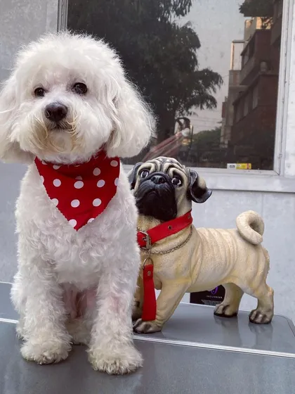 Posing with a friend, Steve is ready for his close-up.