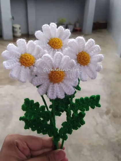 A handful of four white daisy stems, perfect for creating your own small bouquet or adding to a vase at home.