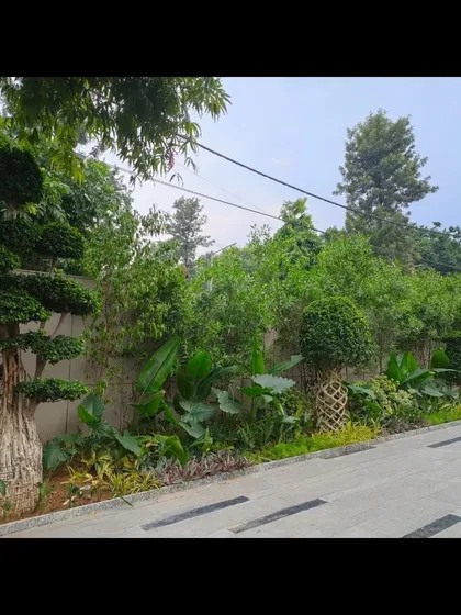 Another angle of the property's boundary, showcasing the dense, multi-layered planting that provides privacy and a beautiful natural backdrop.