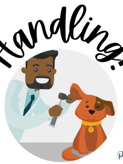 Proper handling is a key part of socialization. We'll practice touching their paws, ears, and mouth gently, which prepares them for vet exams and grooming.