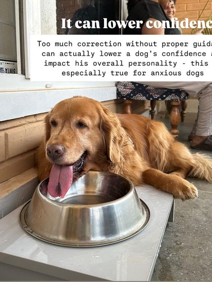 Nitika Ahlawat - Dog and Child Safety & Integration Myth Busters: Common Training Mistakes photo 6