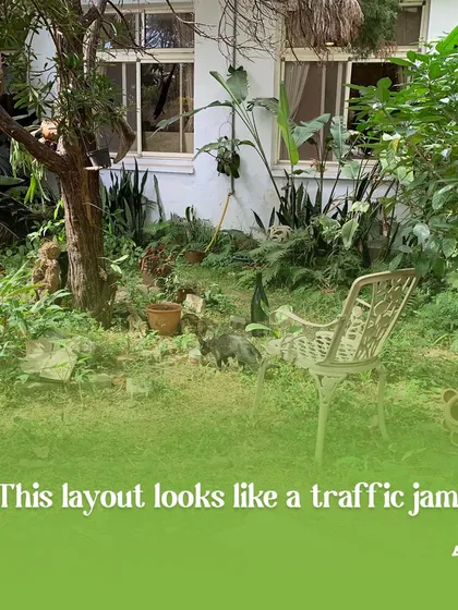 Does your garden layout look like a traffic jam? A poorly planned garden can feel chaotic. We specialize in creating thoughtful designs that provide structure and flow to your green space.