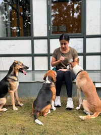 Dog Boarding & Daycare