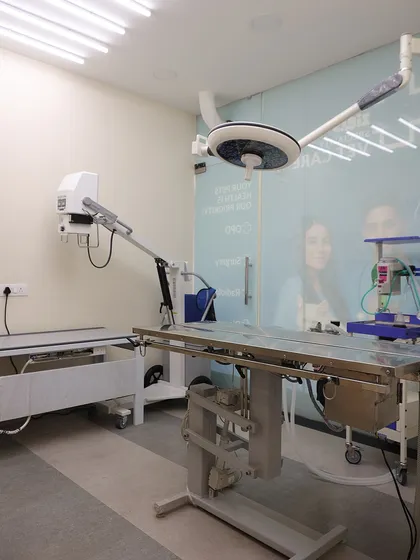 A clean, organized, and well-equipped medical facility is non-negotiable for quality pet care. This is one of our surgical and diagnostic suites, featuring modern equipment for procedures like X-rays and surgeries, ensuring we can provide accurate diagnoses and effective treatments.