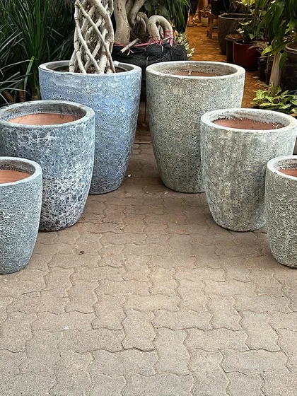 These rustic planters have an eye-catching presence. The blue and grey Atlantis pots shown here have a unique, sea-worn texture. I have a limited supply, so grab them before they are gone.