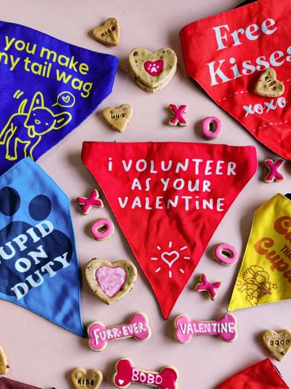 For Valentine's Day, I also offer these adorable bandanas with fun slogans like 'Cupid on Duty' and 'You Make My Tail Wag'. You can get them as part of an assorted box with my themed biscuits.