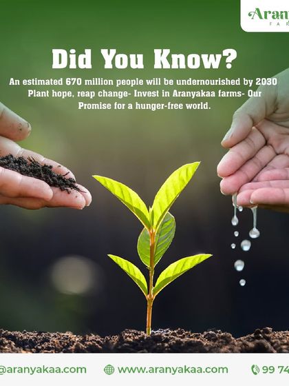 With an estimated 670 million people facing undernourishment by 2030, we believe in planting hope. Investing in our farmlands is a promise for a hunger-free world and a direct contribution to global food security.