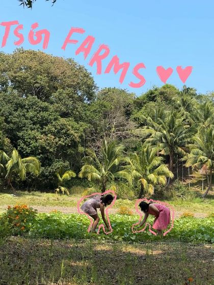 Vaishnavi Patel - Custom Photo & Video Art Travel & Adventure Doodles photo 146