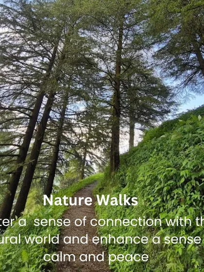 My retreats are about more than just yoga on the mat. We take time for meditative nature walks, fostering a deep connection with the natural world and enhancing our sense of calm and peace.