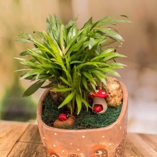 Handmade Clay Creations