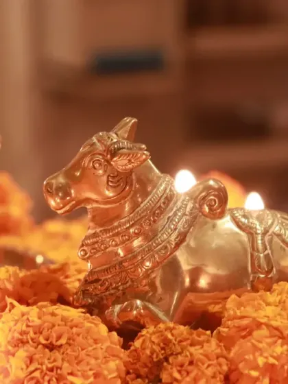 A brass statue of Nandi, the sacred bull, adorned with marigolds and illuminated by a diya lamp during a puja.