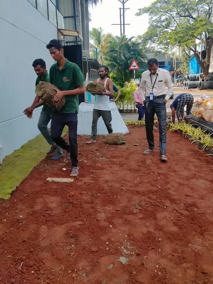 Team Hortiscape carrying rolls of fresh turf, ready for installation. We source high-quality, healthy sod to give our clients' lawns the best possible start.