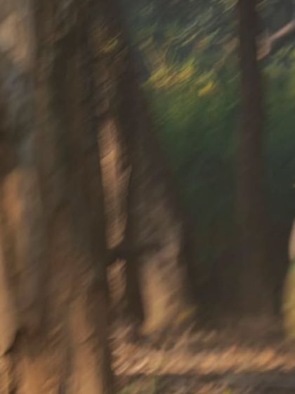 Creative Photography: The Painter's Eye photo 10