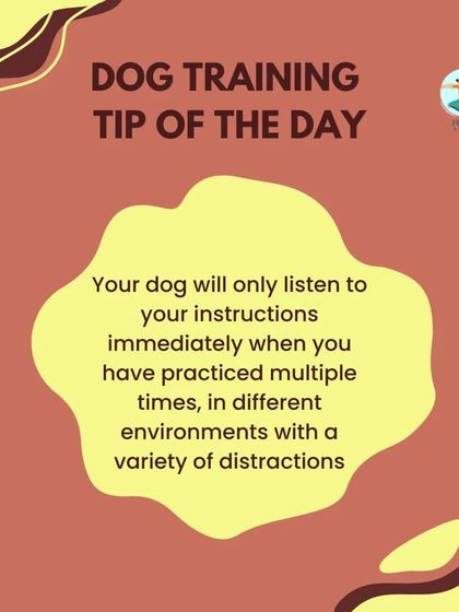 Furry Story - Pet Sitter & Home Boarder Training My Approach to Training photo 11