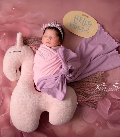 Meghana Merchant - Newborn Photography Creative & Fun Themes photo 17