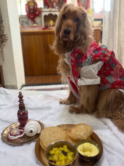 Posto posing with the traditional Bengali New Year meal, including luchi and alur dom.