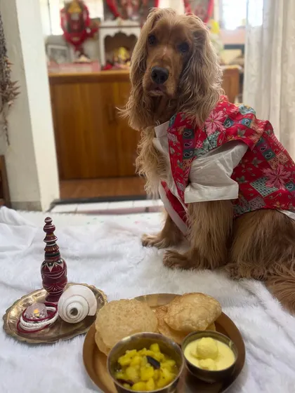 Posto with his special Noboborsho meal, complete with luchi and alur dom.