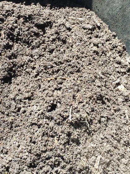 A close-up of our premium sifted compost in a bucket. You can see the fine, consistent texture that makes it an excellent soil amendment for gardens and potting mixes.