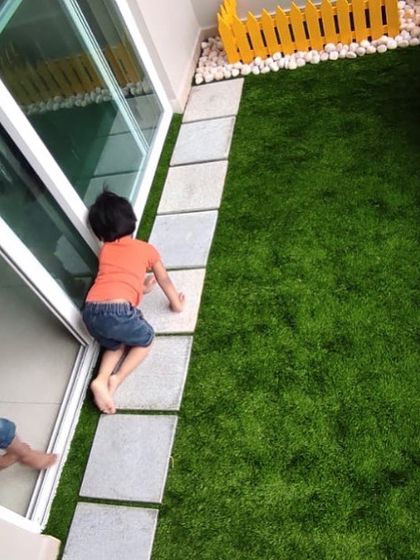 Treemendous - Interior & Exterior Plantscaping Balcony & Terrace Transformations photo 9