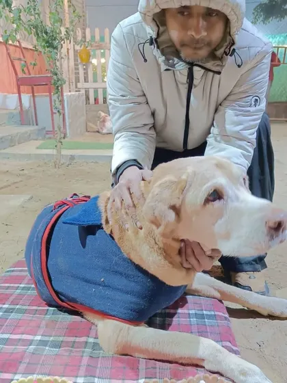 A tender moment between a pet parent and his senior dog, Deesel, during the birthday celebrations. These parties are about celebrating the bond we share with our pets.