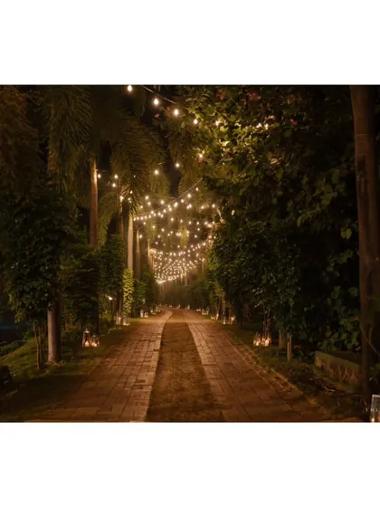Sometimes, simplicity is the ultimate sophistication. A pathway lit by a canopy of string lights creates a magical, 'into the woods' entrance for a welcome dinner.