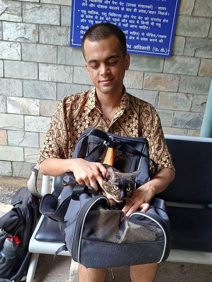 Behind the Scenes: The Relocation Process photo 9