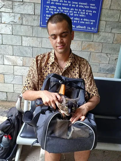 This traveler is taking their cat in-cabin. Even for in-cabin travel, a visit to the AQCS for an export NOC is mandatory.
