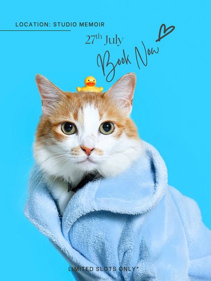 Priyanka - Themed & Special Occasion Pet Photography Imaginative Studio Sets photo 14