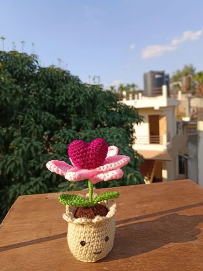 Cheerful Potted Plants photo 63