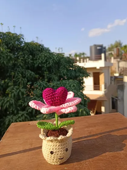 A single pink heart-in-bloom flower, perfect as a small, thoughtful gift.
