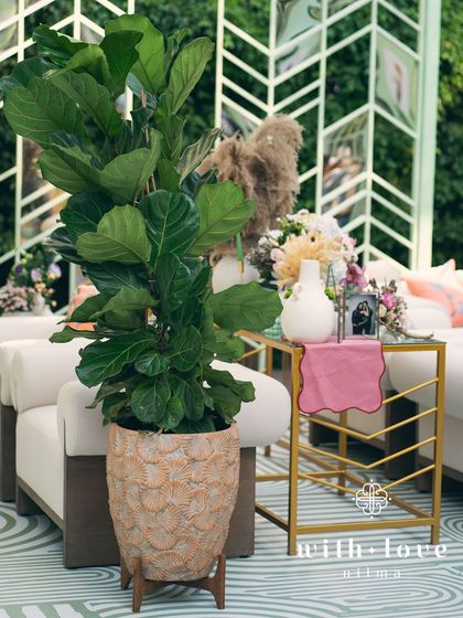 A detail of the decor in 'The Conservatory', featuring a large fiddle-leaf fig in a textured pot.