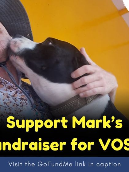 Mark Anderson, a volunteer from Australia, is currently at our sanctuary giving his all to our dogs. He is also running a GoFundMe to support our work. Please consider supporting his fundraiser.