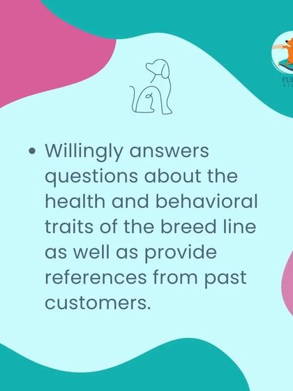 Furry Story - Pet Sitter & Home Boarder Training Resources for Pet Parents & Sitters photo 5